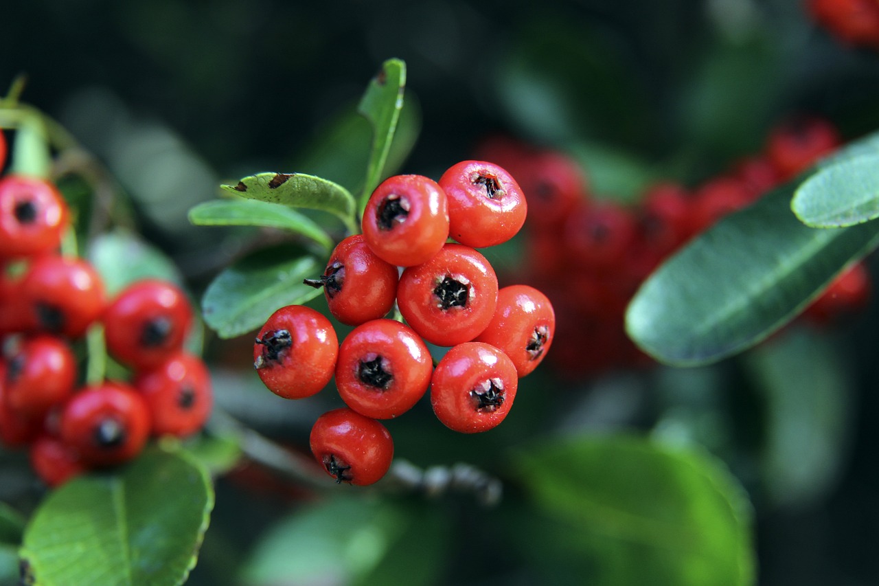 市场使得投 市场使得投