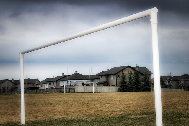 通过与W方 通过与W方