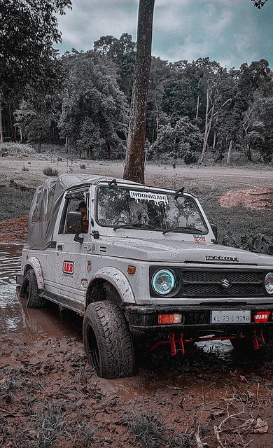 多场胜利 多场胜利