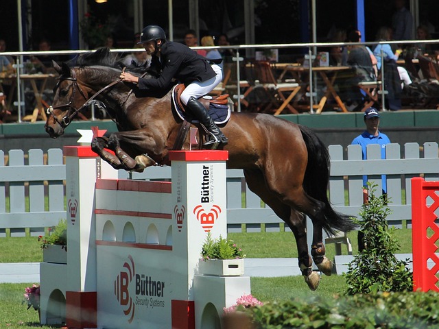 到凯恩的高 到凯恩的高