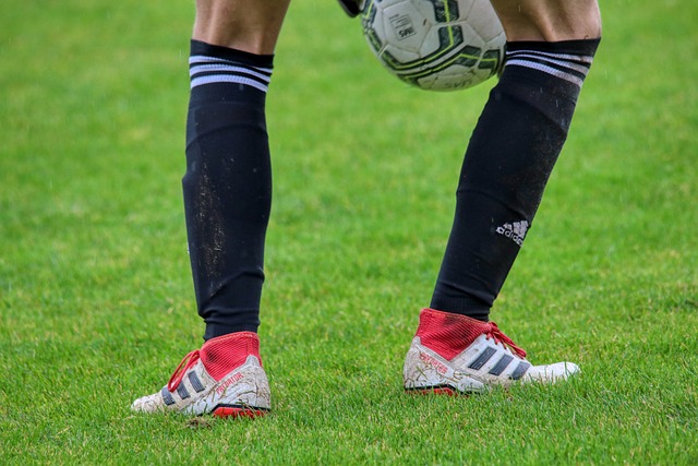 法預測他的 法預測他的