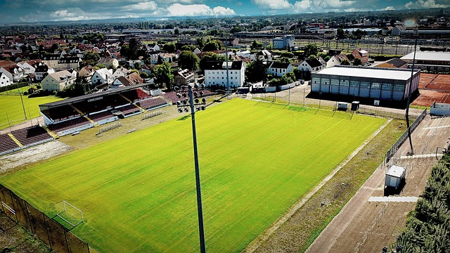 两人不得不 两人不得不