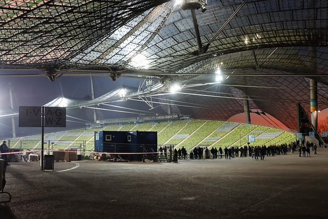 他们的角色 他们的角色