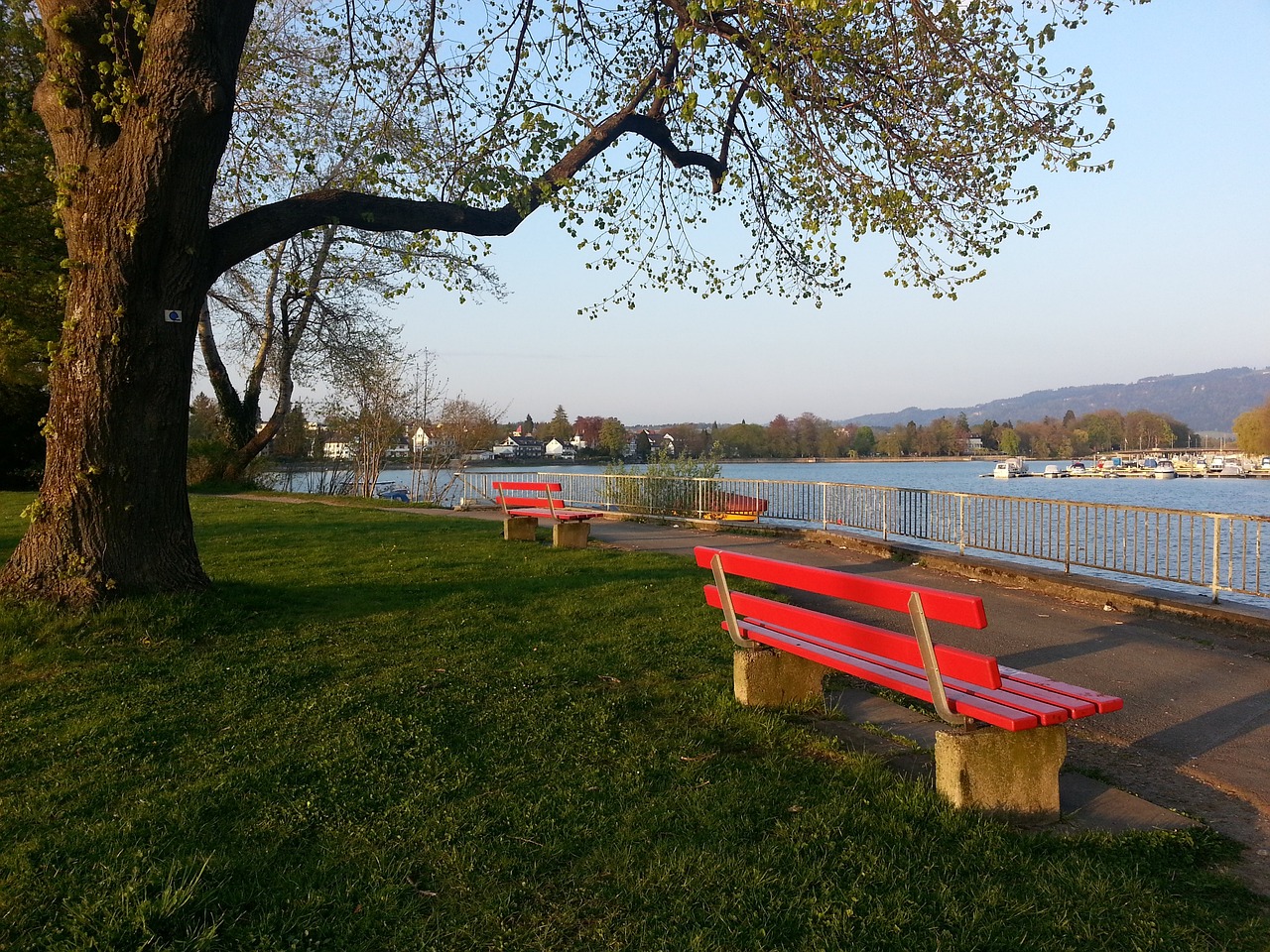 技戰術上的 技戰術上的