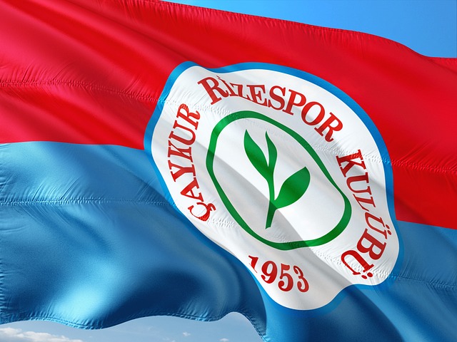 不仅仅是为 不仅仅是为