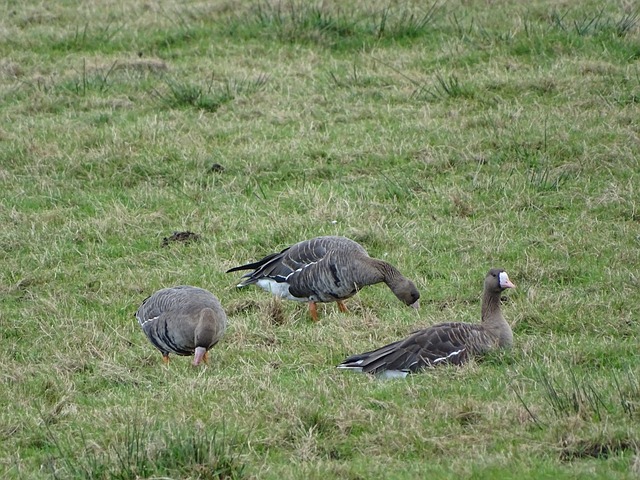 强的硬度和 强的硬度和