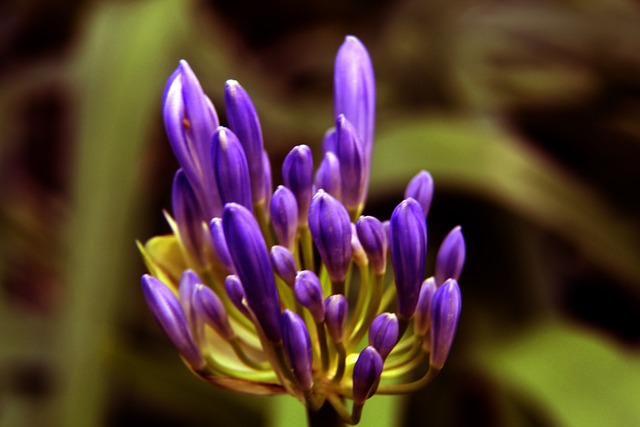 展现出她们 展现出她们