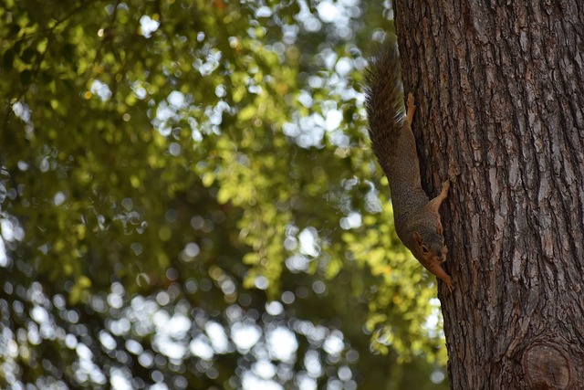 如今她们终 如今她们终
