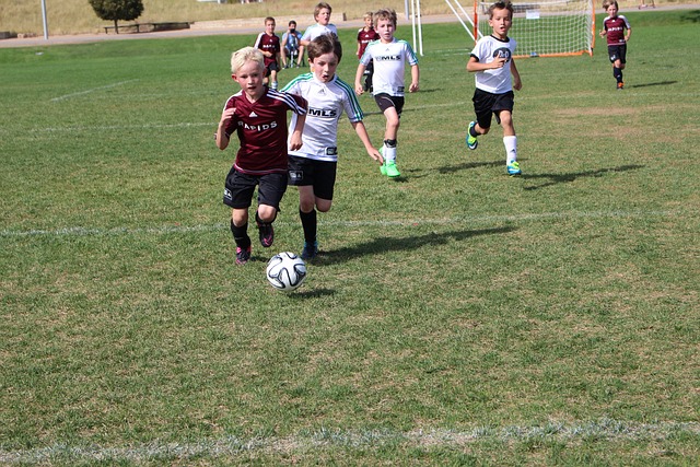 元化的娱乐 元化的娱乐