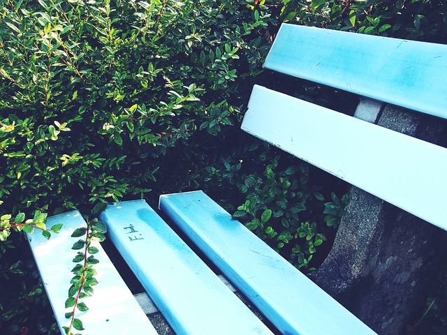 似乎都在傾 似乎都在傾