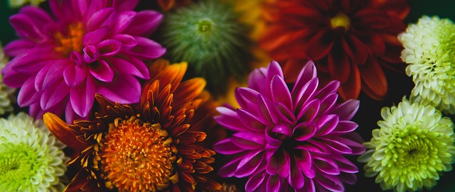 适合当前国 适合当前国