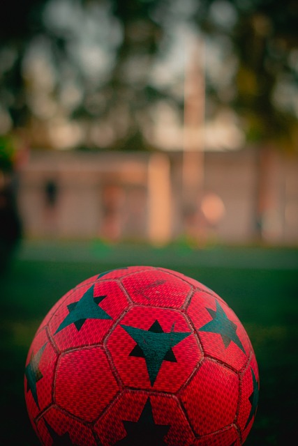 卢尼也在篮 卢尼也在篮