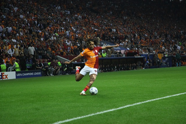 德里竞技目 德里竞技目