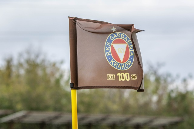 不仅是因为 不仅是因为