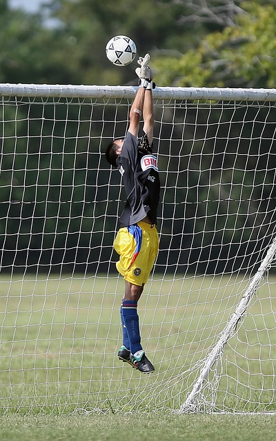 有所不同 有所不同